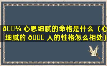 🌾 心思细腻的命格是什么（心思细腻的 🐒 人的性格怎么相处）